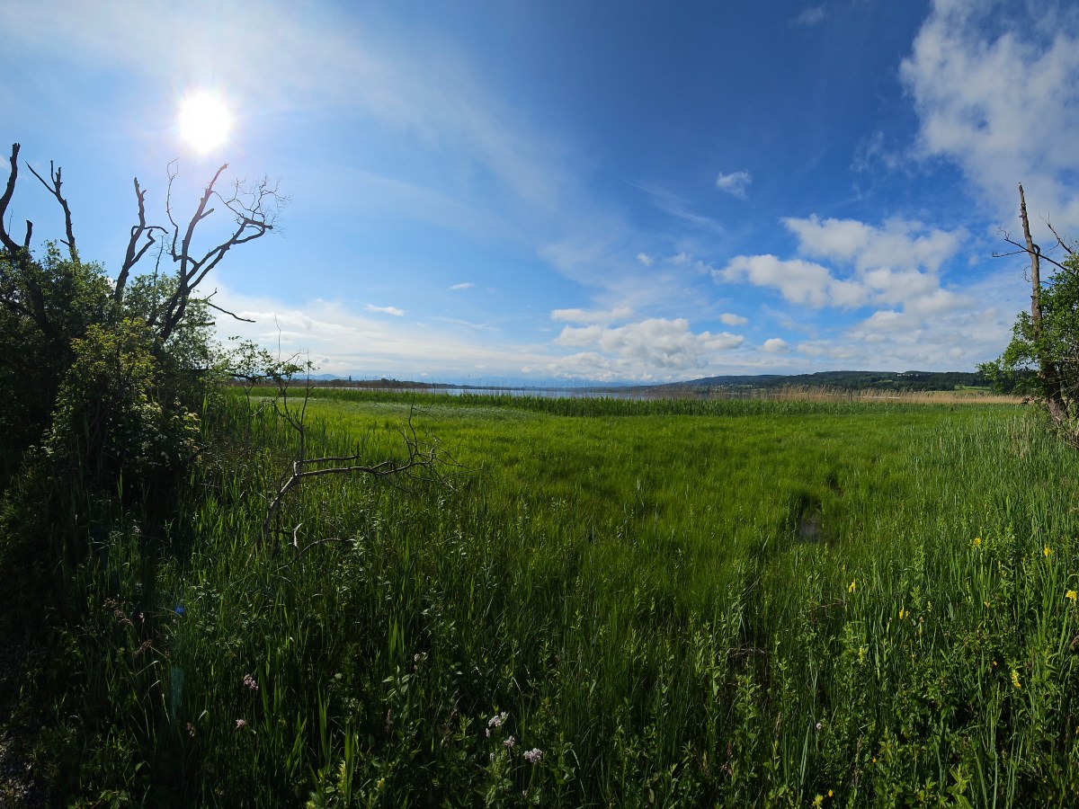 Lake Greifensee, Switzerland